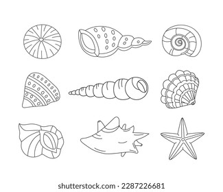 Conjunto de iconos tropicales lineales negros de Seashells. Colección de especies submarinas de fauna silvestre. Elementos exóticos marinos Línea fina. Dibujo de esquema aislado de ilustración de vector