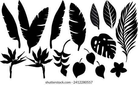 Set of tropical silhouettes of leaves of palm trees and flowers bird of paradise strelitzia plumeria. Vector illustration