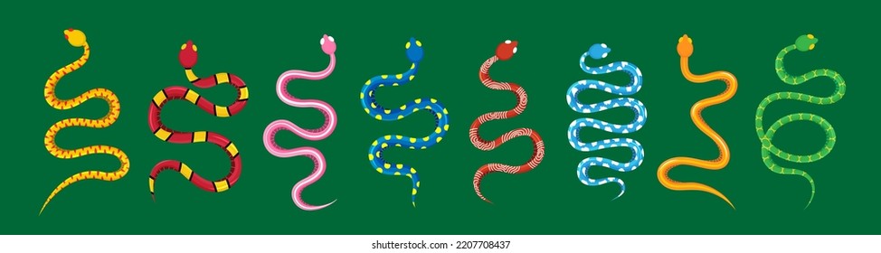 Set of tropical snakes. Wild poisonous vipers. Colored toxic reptiles illustration. Dangerous exotic snakes isolated on green background.