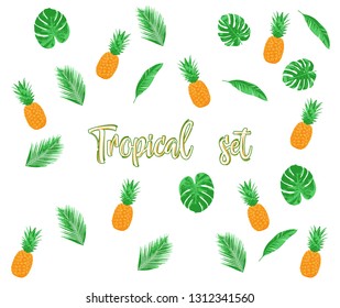 Set of tropical summer elements, isolated on white background. Pineapple and tropical leaves.