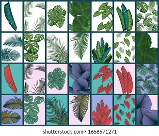 Set of tropical summer leaves background with jungle plants