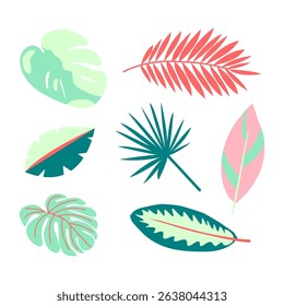 Set of tropical summer leaves. Monstera, palm and other botanical elements. Flat leaves of jungle. Vector illustration in trendy green and pink colors on transparent background