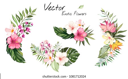 set Tropical vector flowers. card with floral illustration. Bouquet of flowers with exotic Leaf isolated on white background. composition for invitation to party or holiday