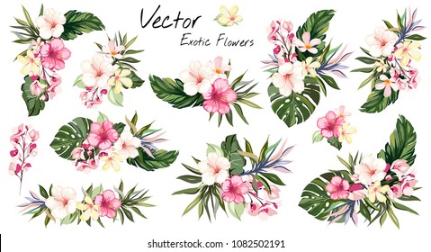 set Tropical vector flowers. card with floral illustration. Bouquet of flowers with exotic Leaf isolated on white background. composition for invitation to party or holiday