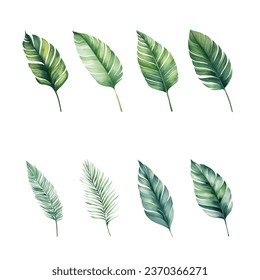 Set of tropical watercolor leaves isolated white background