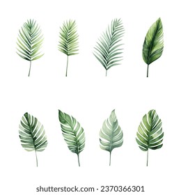 Set of tropical watercolor leaves isolated white background