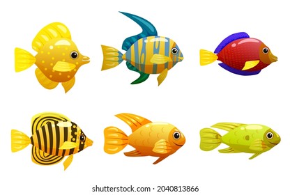 Set Tropical yellow fish, coral reef exotic pet animal. Collection Aquarium sea life, vector illustartion cartoon style