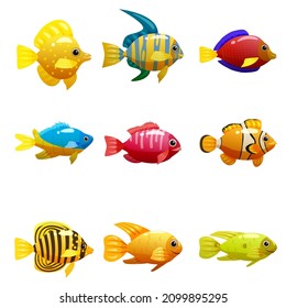 Set Tropical yellow fish, coral reef exotic pet animal. Collection Aquarium sea life, vector illustartion cartoon style