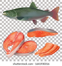 Set of trout fish fillets on a transparent background. Vector. EPS 10.
