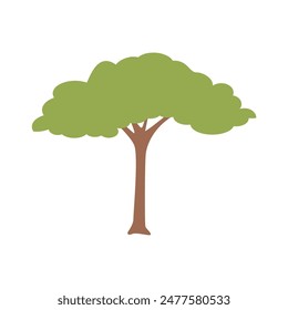 set of trunked vector tree day trees set