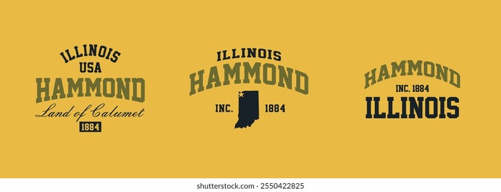 Set t-shirt stamps graphic, Illinois travel wear typography emblem Hammond vintage print