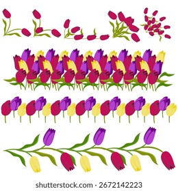 Tulpenränder und -ecken für Ihr Design. Vektorgrafik einzeln auf weißem Hintergrund.
