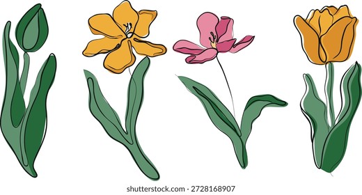 Conjunto de cogollos de tulipán en diferentes etapas de floración con hojas verdes en estilo boceto con diferentes contornos y manchas de color detrás, para logotipos y Elementos de marca