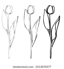 Set of Tulip continuous line drawing. Black and white Floral Bouquets. Flower Coloring Page. Floral Line Art. Fine Line Lilies illustration. Hand Drawn flowers. Botanical Coloring. 