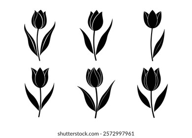set of tulip flower vector illustration