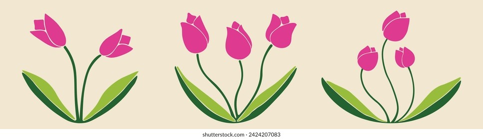 Set of Tulip flowers, leafs, plants. Decorative elements for decoration. Hand drawing doodles of vector vintage botanical elements.  Flat style