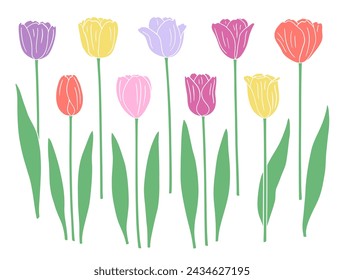 Set of tulip flowers and leaves