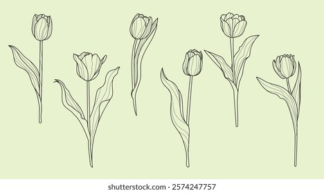 Set of tulip flowers in lenart style. Springtime flower vintage boho style for textiles, wall art, fabric, wedding invitation, cover design. Vector illustrations.