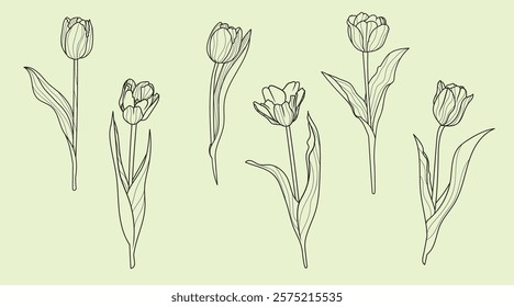 Set of tulip flowers in lenart style. Springtime flower vintage boho style for textiles, wall art, fabric, wedding invitation, cover design. Vector illustrations.