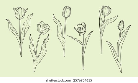 Set of tulip flowers in lenart style. Springtime flower vintage boho style for textiles, wall art, fabric, wedding invitation, cover design. Vector illustrations.