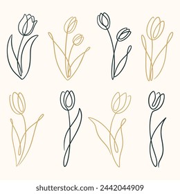 Set of tulip flowers. Tulip one line drawing. Abstract flower continuous line. Minimalist contour drawing of tulip. Hand drawn sketch of flower with leaves