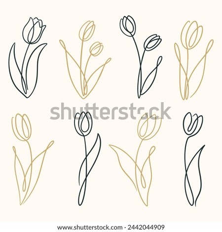 Set of tulip flowers. Tulip one line drawing. Abstract flower continuous line. Minimalist contour drawing of tulip. Hand drawn sketch of flower with leaves