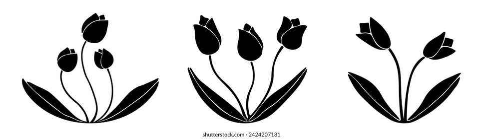 Set of Tulip flowers silhouettes , leafs, plants. Decorative elements for decoration. Hand drawing doodles of vector vintage botanical elements.  Line art. Botanic outline pencil sketch draw