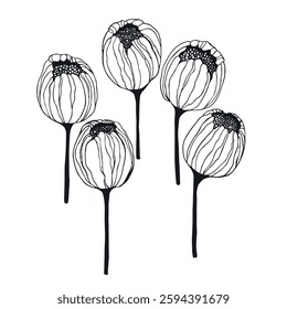 Set of tulip silhouette. Collection of hand drawn various decorative blooming tulips. Elegant botanical vector illustration.