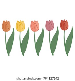 
Set of tulips of different colors vector illustration