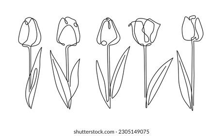  SET OF TULIPS. Flowers isolated on white background. One line continuous drawing.Vector illustration.