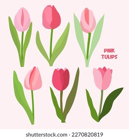 Set with tulips flowers. Spring plants. Pink, burgundy, green. For design of postcards, patterns, etc., notebooks.