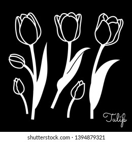 Set of tulips with leaves, buds and stems. Flower icons isolated on black background. Floral decorative stencils.