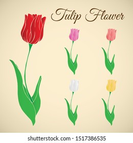Set Tulips many many colors .can be used as a background, banner. vector illustration