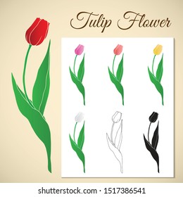 Set Tulips many many colors .can be used as a background, banner. vector illustration