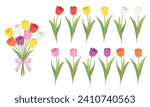 Set of tulips vector illustration