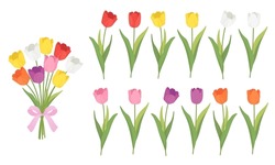Set Of Tulips Vector Illustration