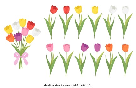 Conjunto de ilustraciones vectoriales de tulipanes