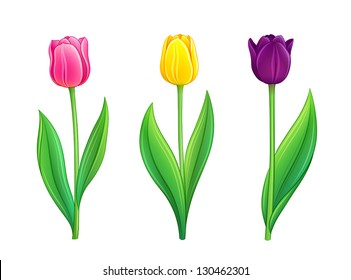 300,635 Purple tulips Images, Stock Photos & Vectors | Shutterstock