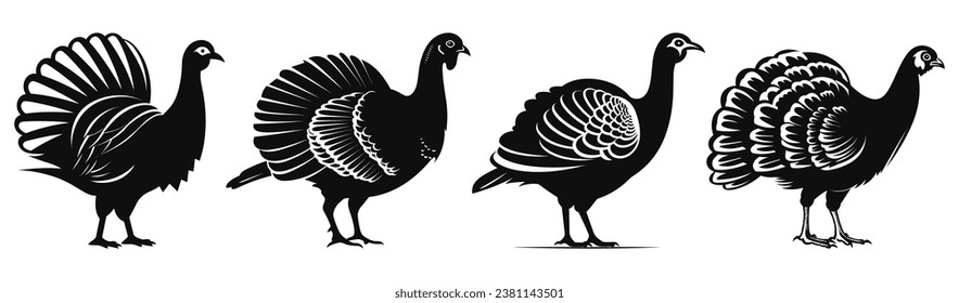 Set Turkey Bird Black
