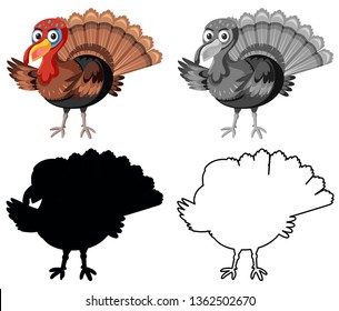 Set of turkey character illustration