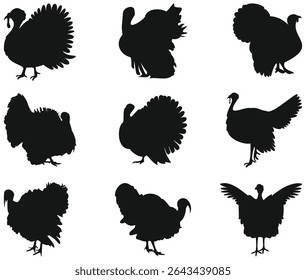 set of turkey vector illustration, collection of turkey bird silhouette graphic art