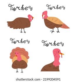 Set of turkeys. Hand drawn flat vector illustrations on white background. Colorful graphic design. 