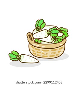 Set Turnip on background vector.