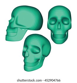 Set of Turquoise 3D Geometric Skulls on White. Low Poly Realistic Vector Illustration. Collection of Skulls in Different Views.