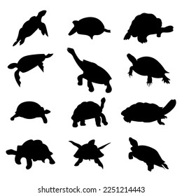 Set of turtle animal silhouettes of various styles