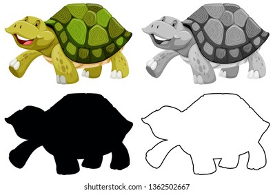 Conjunto de ilustraciones de caracteres de tortuga