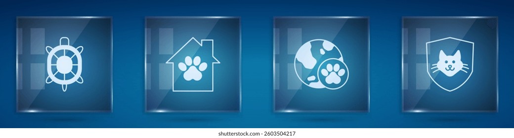 Set Turtle, Pet house, World pet and Animal health insurance. Square glass panels. Vector