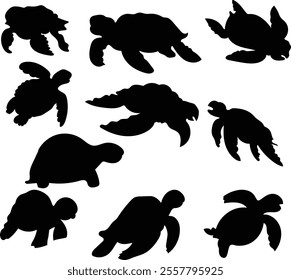 set of set turtle silhouette vector