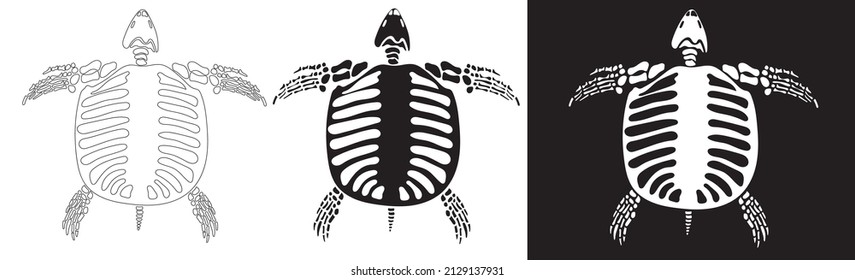 Set of Turtle skeleton in isolate on white background. Vector illustration.