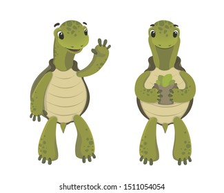 Set of turtles cartoons characters. Flat vector illustration on white background.
